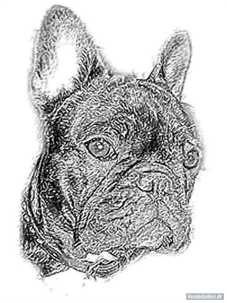 Asti computer-tegning billede 1