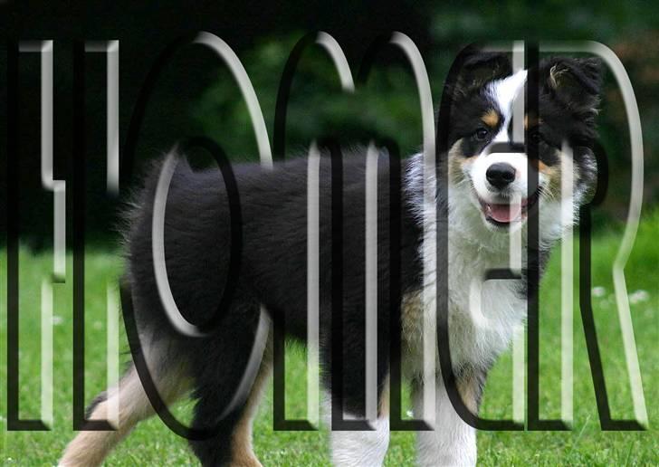 Manipulerede billeder billede 1