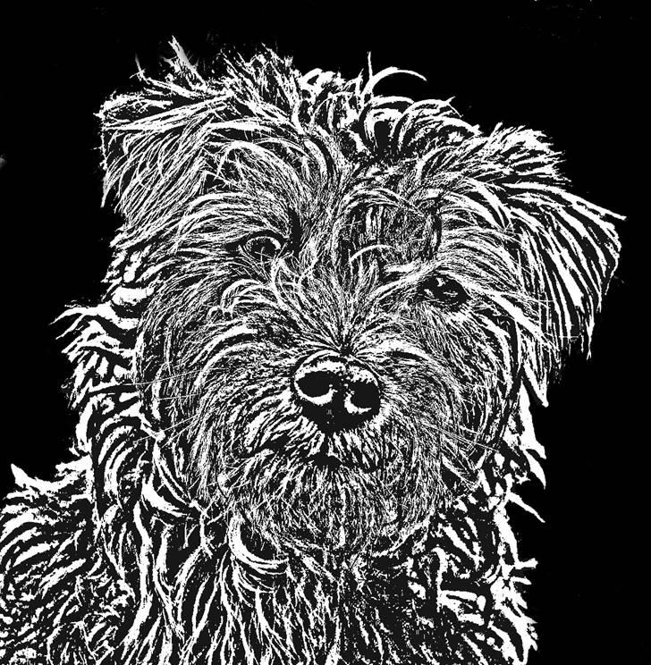 Manipulerede billeder billede 2