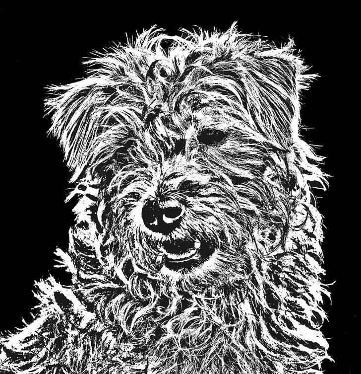 Manipulerede billeder billede 3