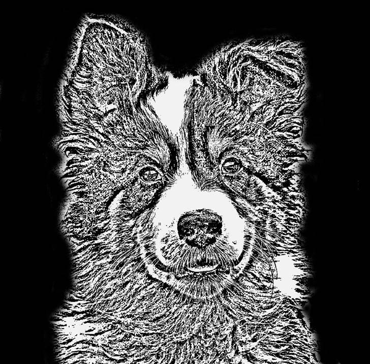 Manipulerede billeder billede 5