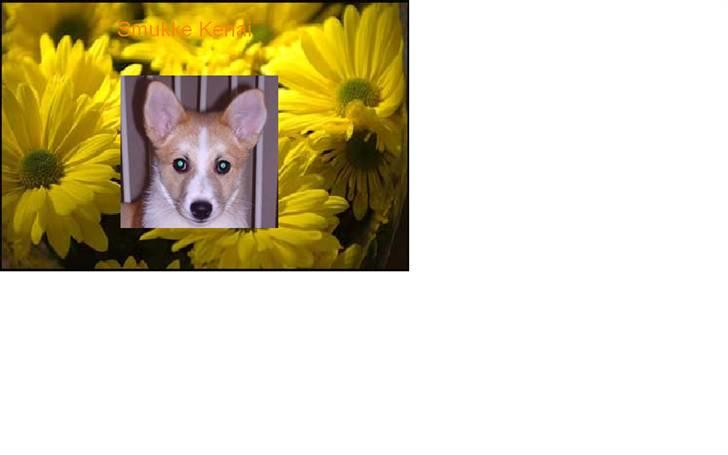 Billeder jeg har lavet til andre - Smukke Kenai på blomster baggrund billede 7