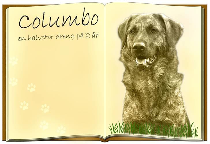 Tegninger og redigerede billeder af egne hunde billede 8