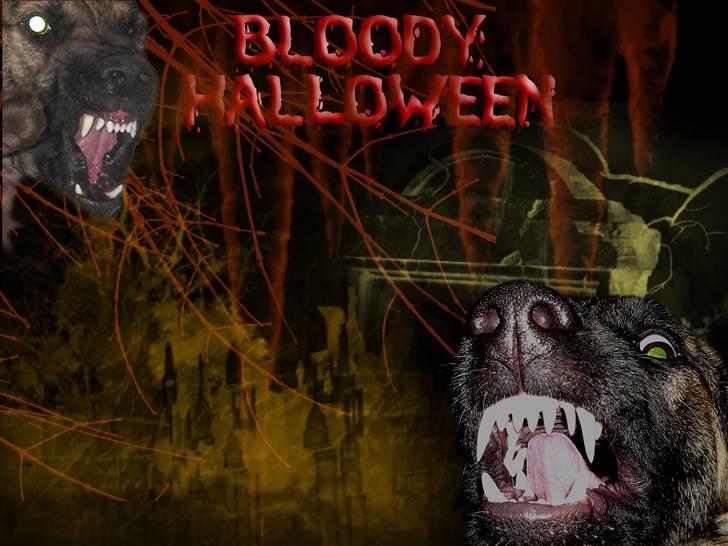 Tegninger og redigerede billeder af egne hunde billede 9