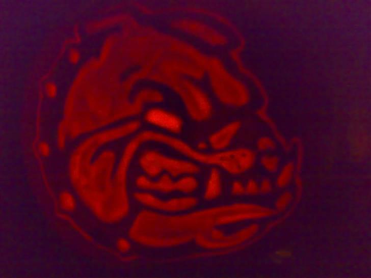 Halloween græskar - Bulldog i mørke billede 2