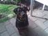 Malou