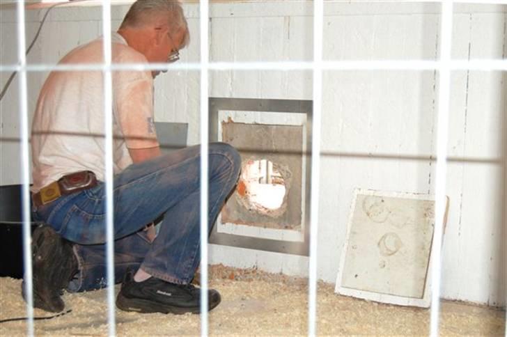 Hundebokse & løbegårde - Så er der hul igennem billede 15