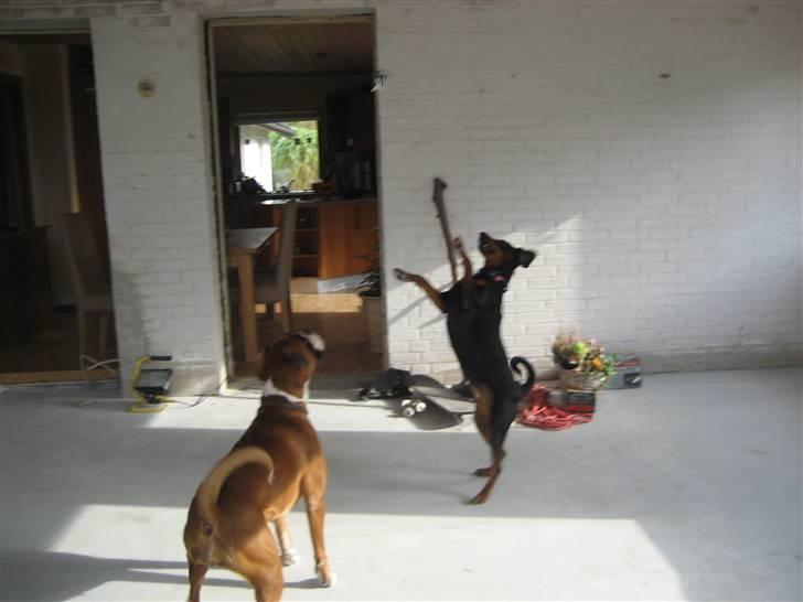 Helekopter legen billede 6