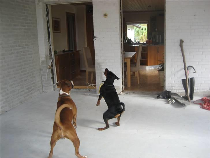 Helekopter legen billede 7