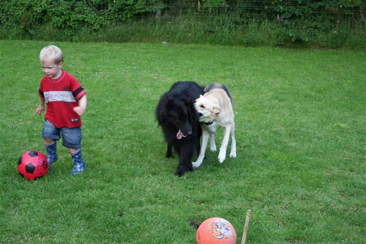 Argos og Gaia leger billede 11