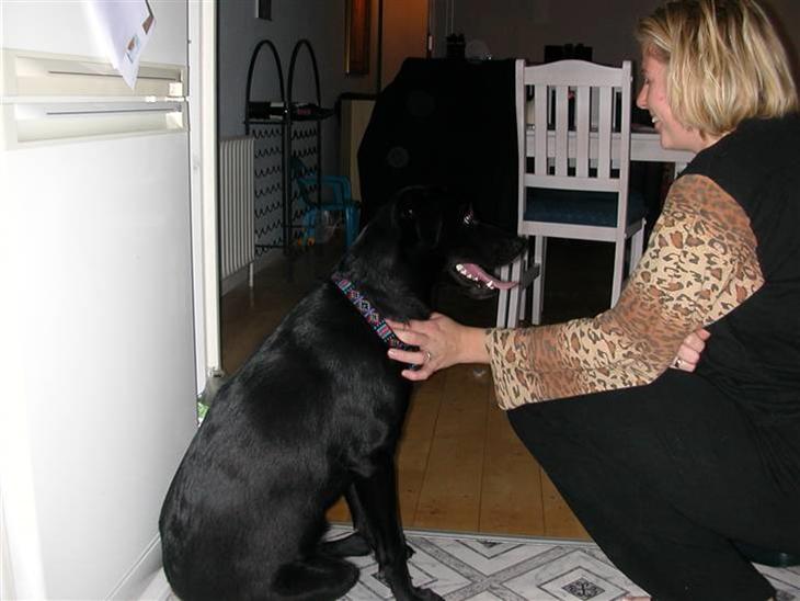 {{currentPhoto.altText}} billede {{currentPhoto.number}}