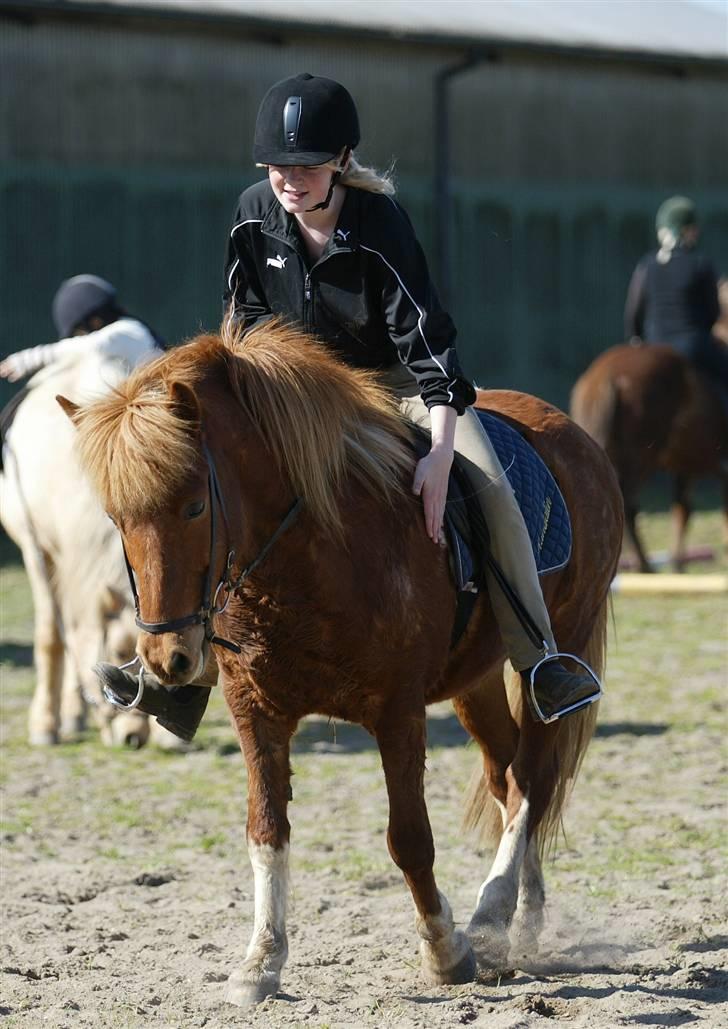 Randalin Randalin F. Gudenådalen - R.I.P - Off Topic - Fotos fra Sissel !