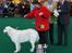 Winner show Amsterdam, Holland - Athene BIM og mor her er temmelig stolt da det gik op for mig at hun også er blevet international Champion...