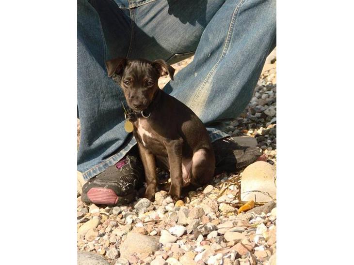 {{currentPhoto.altText}} billede {{currentPhoto.number}}