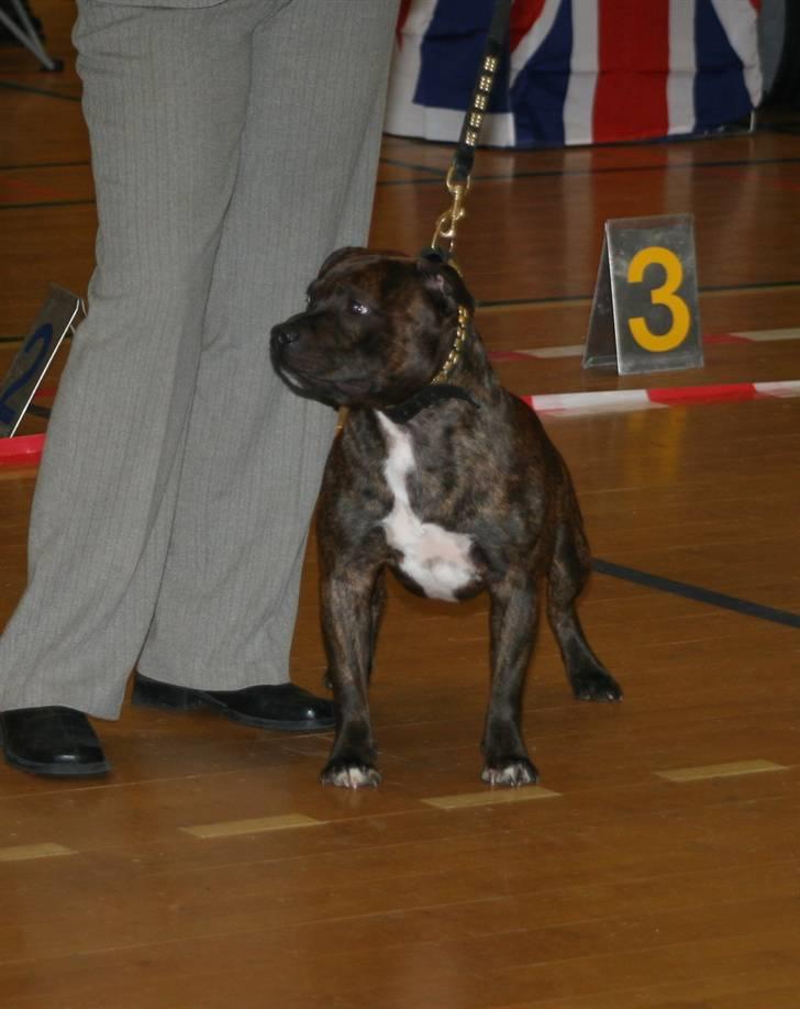 Devil og Nasty - Devil i Sunds d.4/11-06 billede 43