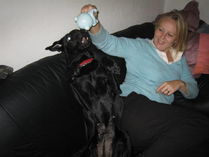 Freja - Iiihhh hvor du driller mor.. billede 15