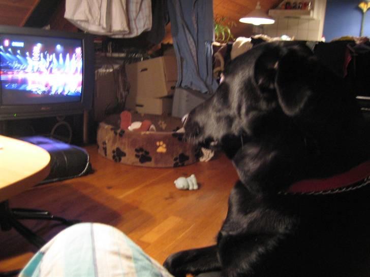 Freja - De danser da meget godt.... billede 18