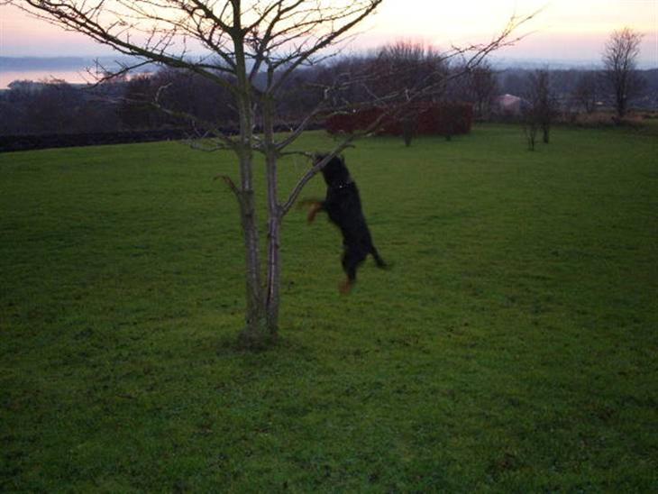 {{currentPhoto.altText}} billede {{currentPhoto.number}}