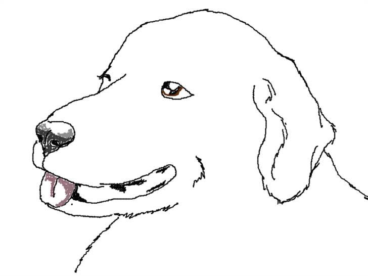 Diverse tegninger og collager... - En tegning bliver til - Athene lavet af Fie - Team Hopla billede 7