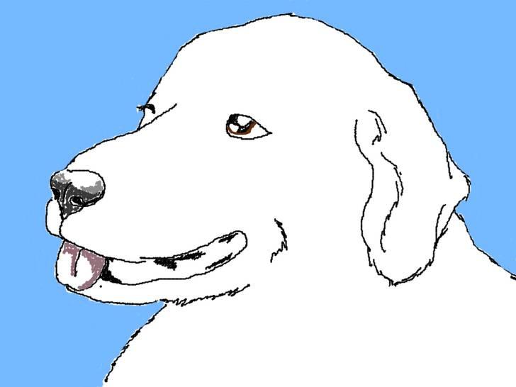 Diverse tegninger og collager... - Så er der farver på... billede 8