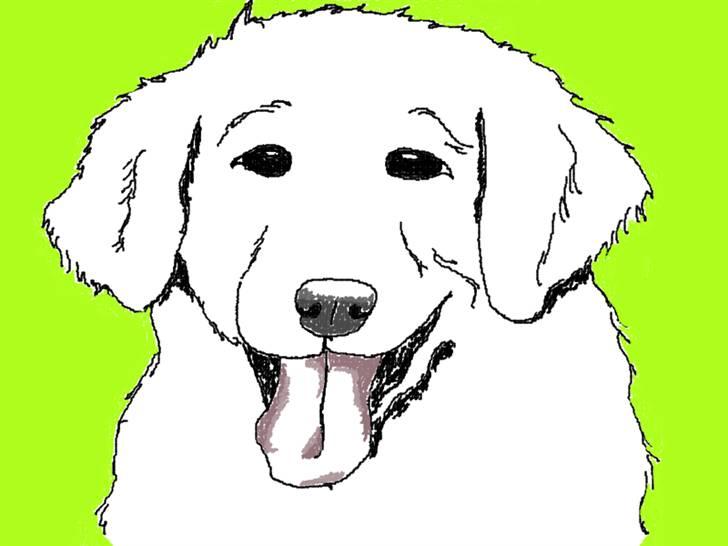 Diverse tegninger og collager... - Og det færdige resultat - utrolige smukke tegninger! billede 12