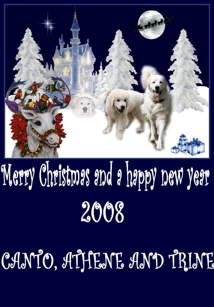 Diverse tegninger og collager... - Dette smukke Julekort har Marianne Sonne lavet til mig. Selv har jeg skrevet teksten. Bemæk min skønne dreng Argos ligger som nyfalden sne.... meget symbolsk - Tusind tak! billede 13