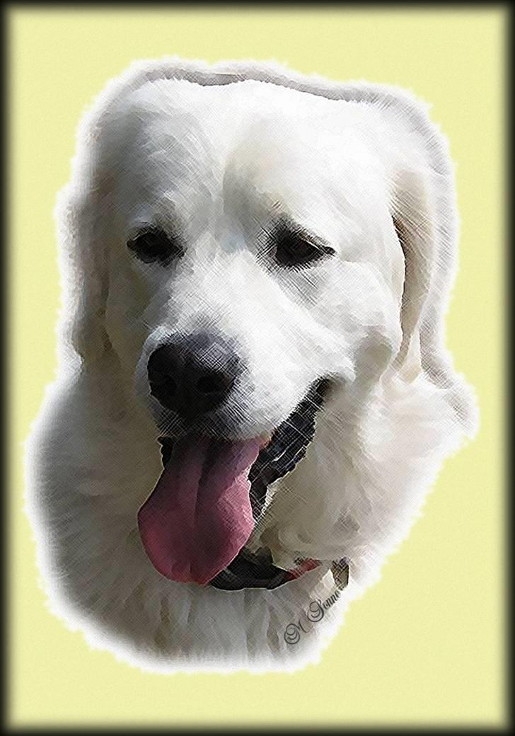 Diverse tegninger og collager... - Athene maleri lavet af Marianne Sonne billede 15