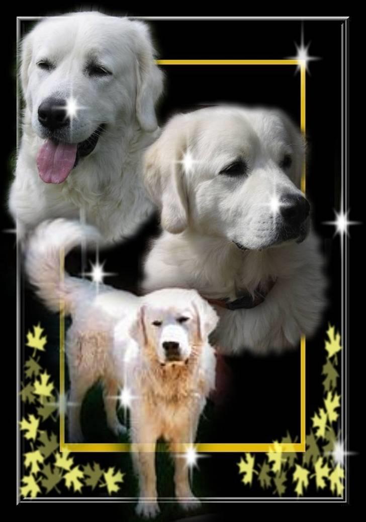 Diverse tegninger og collager... - Profilbillede af Athene og Argos - Lavet af Marianne Sonne billede 20