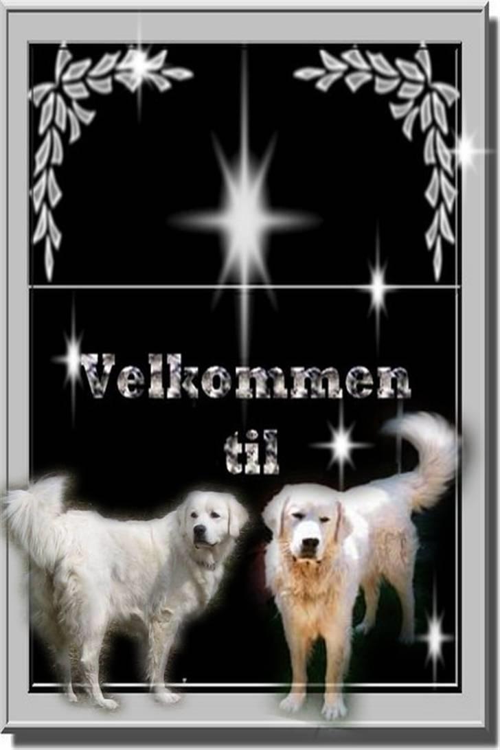 Diverse tegninger og collager... - Profilbillede af Athene og Argos billede 21