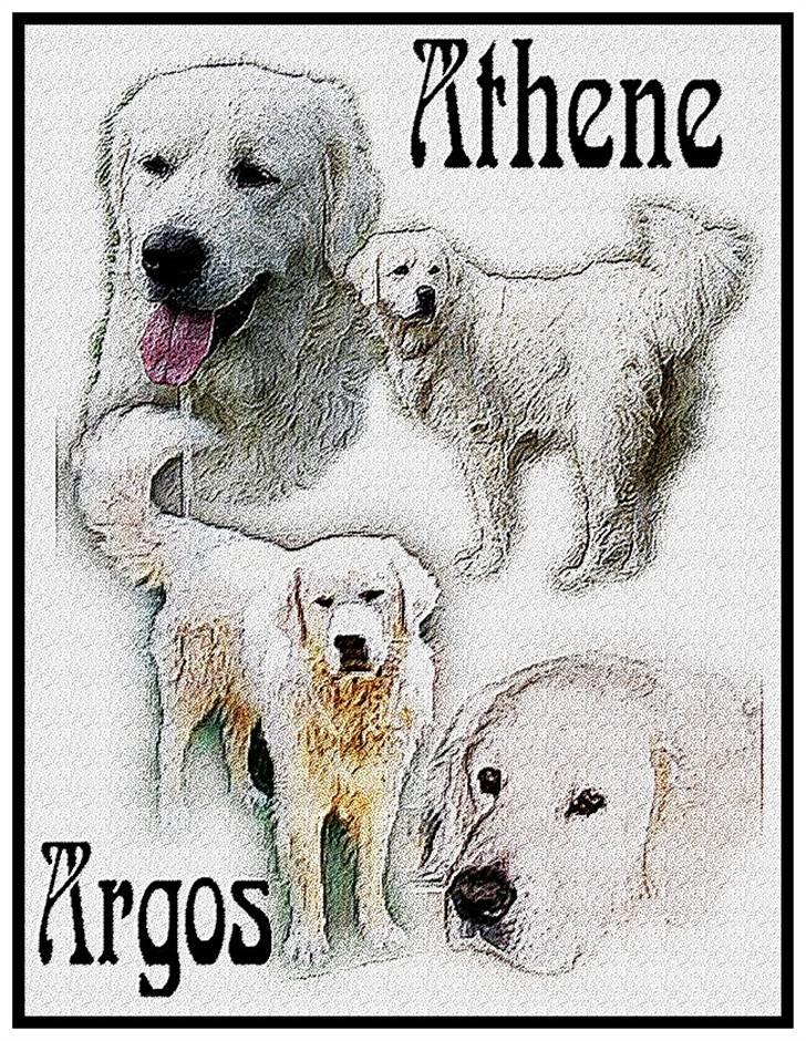 Diverse tegninger og collager... - Endnu et smukt profilbillede billede 22