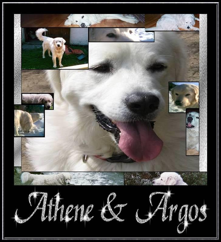 Diverse tegninger og collager... - Et symbolsk profilbillede lavet lige da jeg havde mistet min skønne Argos - her sidder han oppe i det høje og vogter over Athene og giver hende gode råd og anvisninger. billede 23