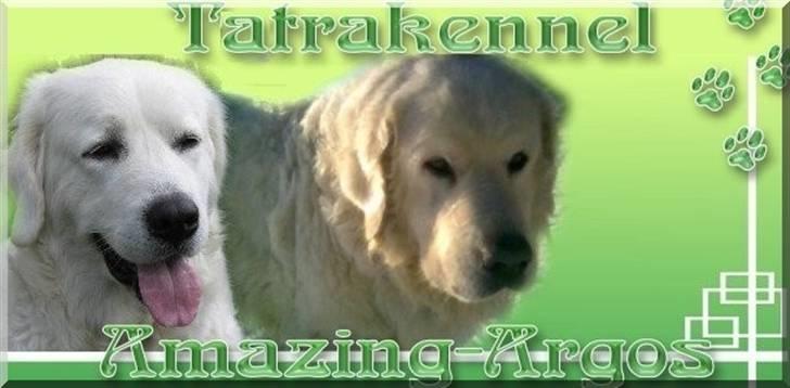 Diverse tegninger og collager... - Forslag til et banner til min hjemmeside der dengang var i disse nuancer billede 24