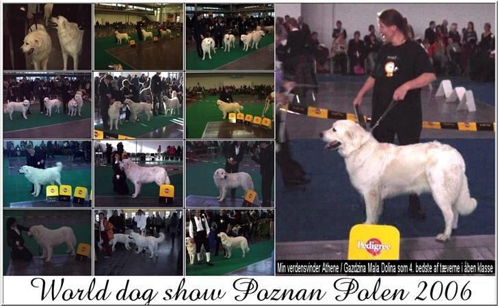 Diverse tegninger og collager... - Collage fra verdensudstillingen i Poznan, Polen 10 november 2006 billede 25