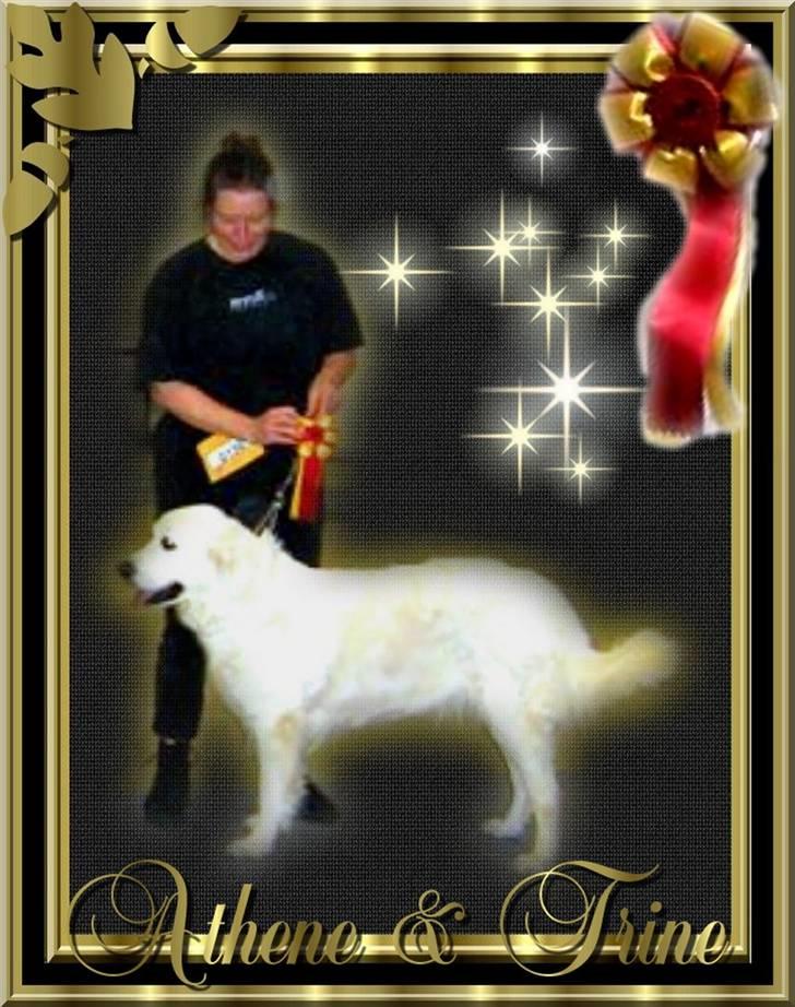 Diverse tegninger og collager... - Dkk Odense feb 2007 - en af de gange det er lykkedes for Athene at vinde over smukke Harnas. billede 26