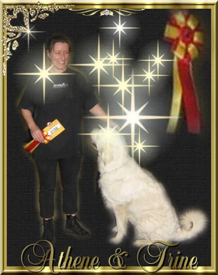 Diverse tegninger og collager... - Dkk Udstilling Odense feb 2007 Athene som BIR billede 27