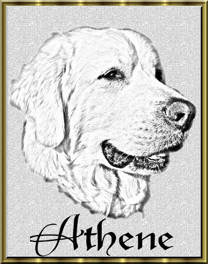 Diverse tegninger og collager... - Athene tegning billede 28