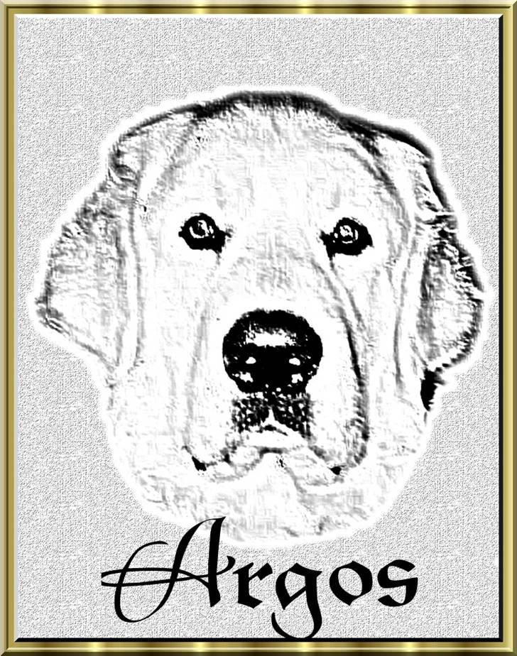 Diverse tegninger og collager... - Tegning af Argos billede 29