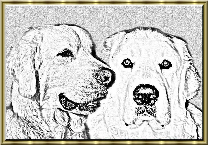 Diverse tegninger og collager... - Athene og Argos billede 30