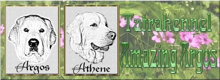 Diverse tegninger og collager... - Nyt banner billede 31