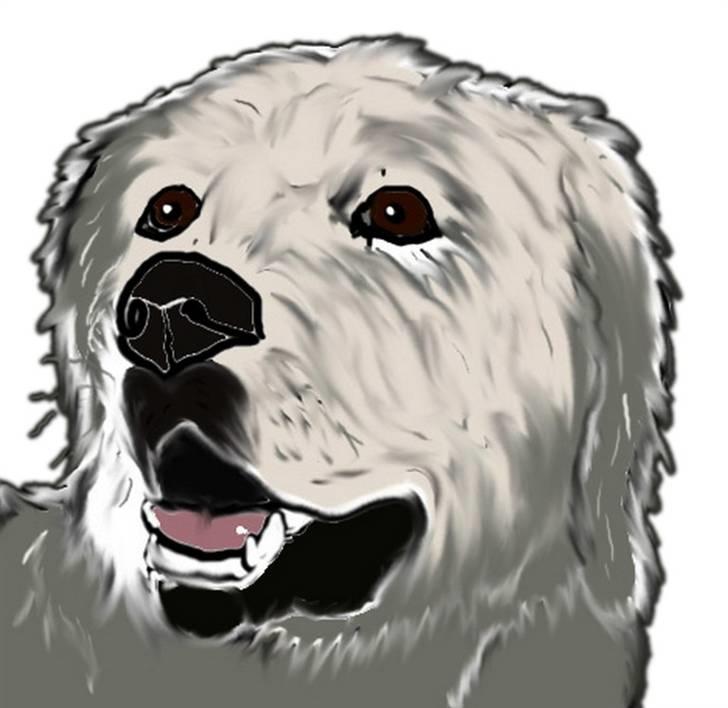 Diverse tegninger og collager... - Athene tegning lavet af Marianne december 2007 billede 32