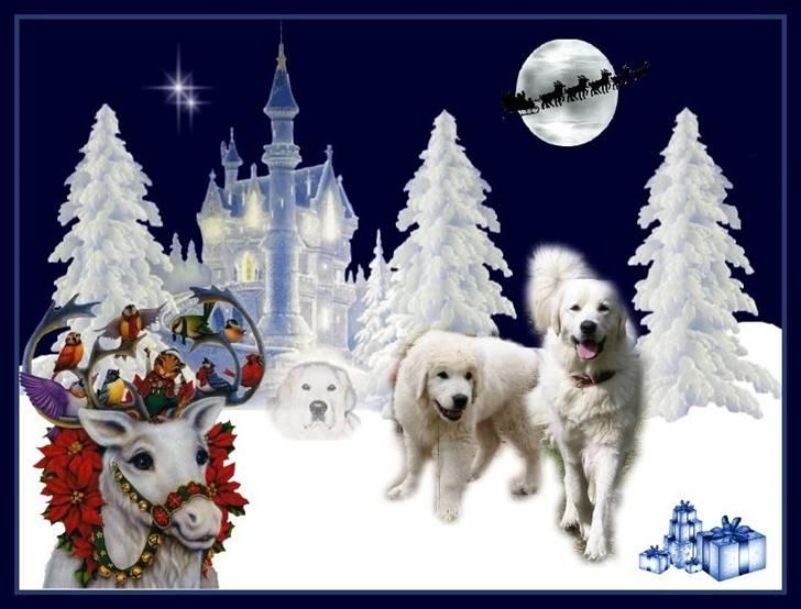 Diverse tegninger og collager... - Julekort 2007 uden tekst. MS billede 35