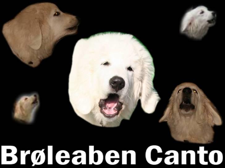 Diverse tegninger og collager... - Gad vide, hvad Fie mener med dette billede? Hi hi Canto kæfter op fra vi kommer til vi går når vi er i byen - temmelig anstrengende at høre på.... billede 37