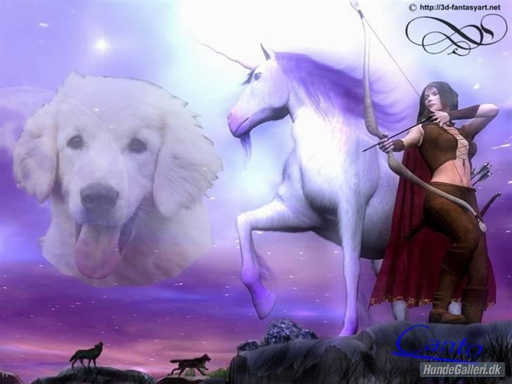 Diverse tegninger og collager... - Canto i drømmeverden - lavet af Mie billede 39