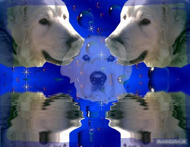 Diverse tegninger og collager... - Min smukke dreng Argos - Lavet af Mie billede 40