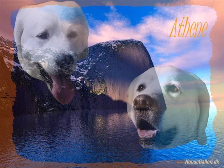 Diverse tegninger og collager... - Athenemusen - lavet af Mie - Tusind tak for de finde billeder! billede 41