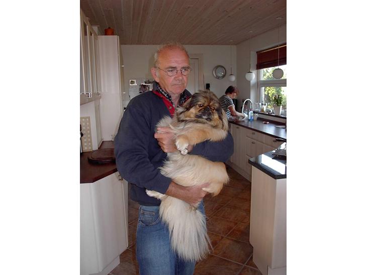 {{currentPhoto.altText}} billede {{currentPhoto.number}}