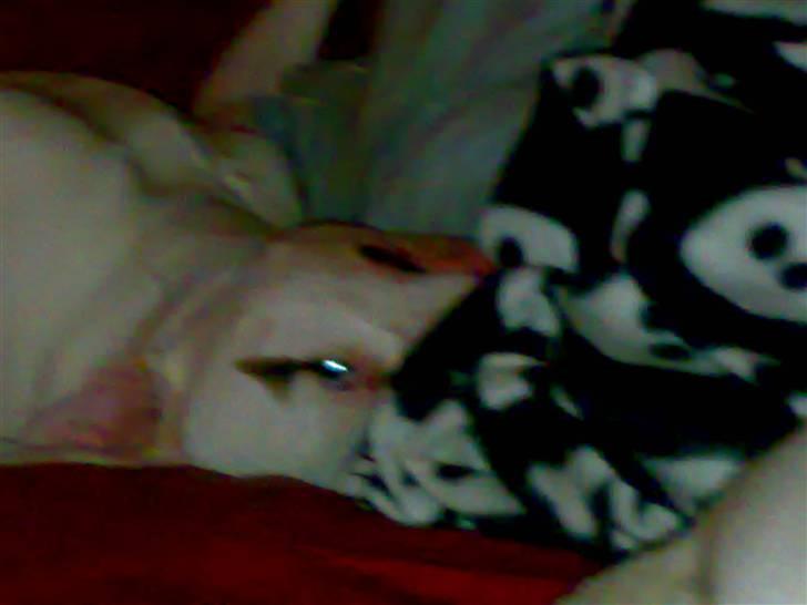 Mærkelige stillinger billede 5