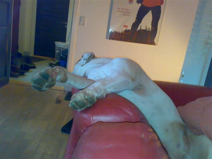 Mærkelige stillinger billede 7