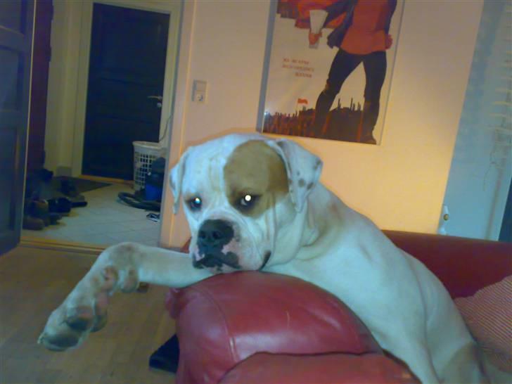 Mærkelige stillinger billede 1