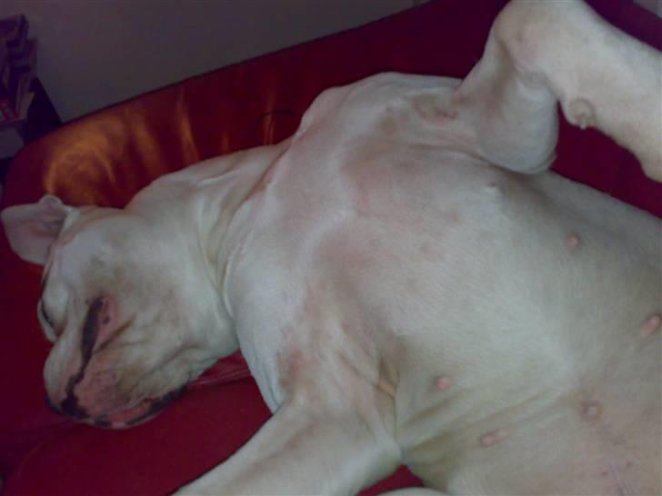 Mærkelige stillinger billede 4